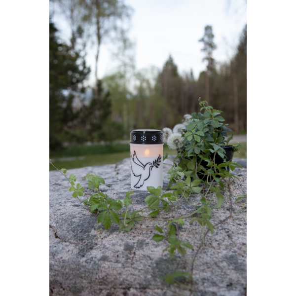 Star Trading LED-Grablicht "Dove"warmwhite LED, Kunststoff, weiß/Taubenmotiv, 2x Größen, exkl. Batterie, Timer, outdoor,Vierfarb-Karton