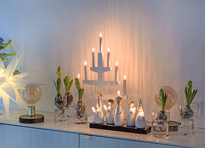 Star Trading Fensterleuchter "Luciakör" 5-flammig, Material: Holz, weiß, ca. 22x33 cm, mit Trafo, Vierfarb-Karton