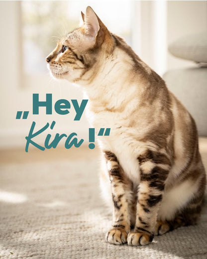 Beurer Pet Heated Bed PP 250 Kira 