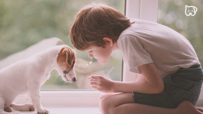 Beurer Pet Heated Bed PP 250 Kira 